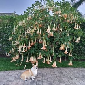 Meet your Posher, Janice